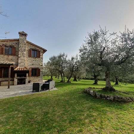 Villa Lisabetta Montecchio  Exteriör bild