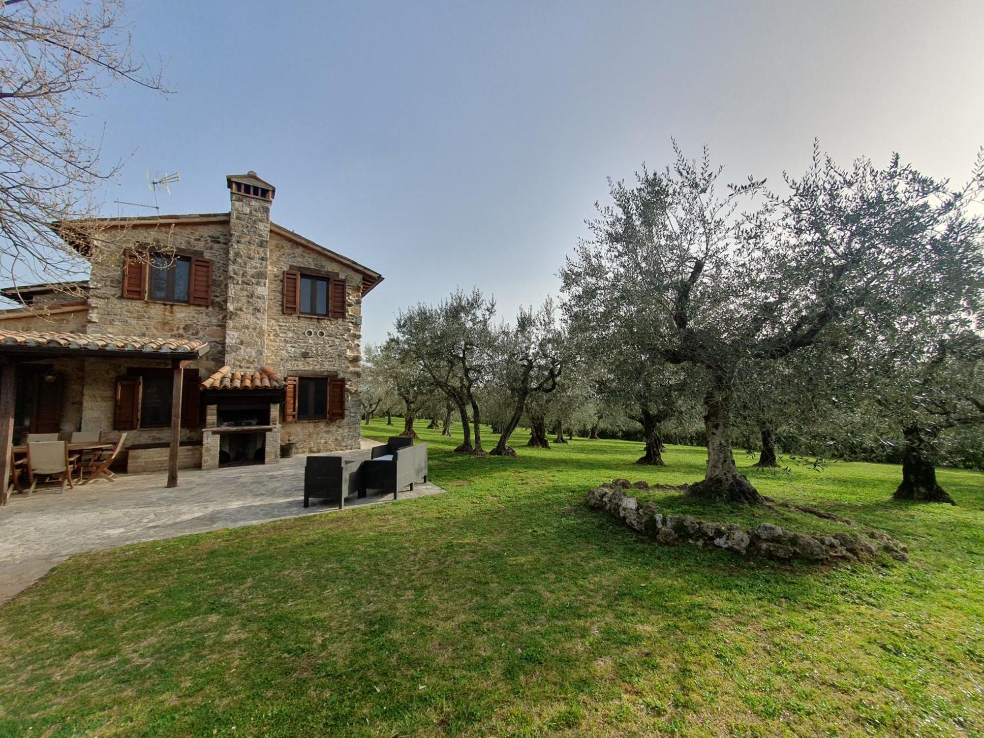 Villa Lisabetta Montecchio  Exteriör bild